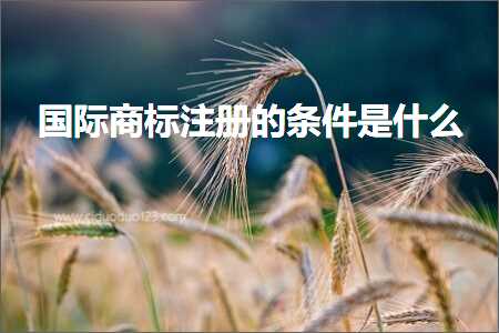 璺ㄥ鐢靛晢鐭ヨ瘑:鍥介檯鍟嗘爣娉ㄥ唽鐨勬潯浠舵槸浠€涔? width=