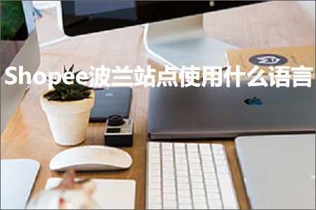 跨境电商知识:Shopee波兰站点使用什么语言