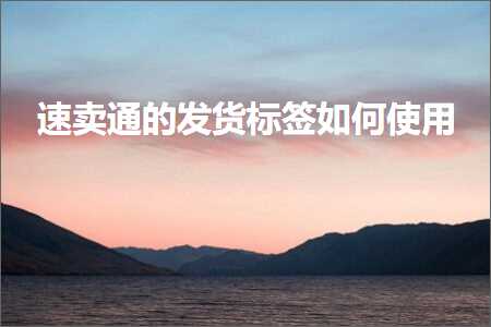 璺ㄥ鐢靛晢鐭ヨ瘑:閫熷崠閫氱殑鍙戣揣鏍囩濡備綍浣跨敤