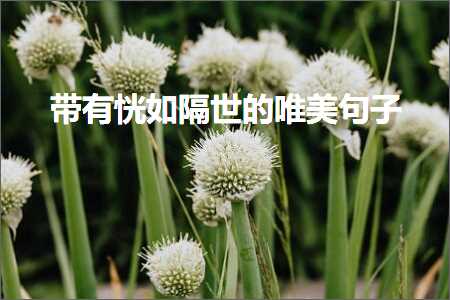 甯︽湁鎭嶅闅斾笘鐨勫敮缇庡彞瀛愶紙鏂囨211鏉★級