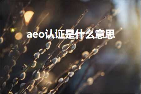 璺ㄥ鐢靛晢鐭ヨ瘑:aeo璁よ瘉鏄粈涔堟剰鎬? width=