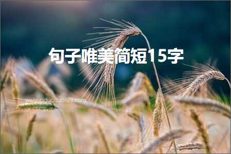 句子唯美简短15字（文案563条）