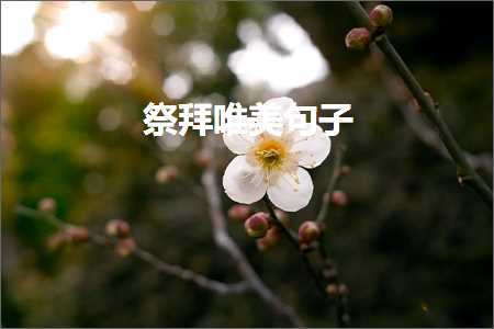 昙花一现唯美忧伤句子（文案400条）